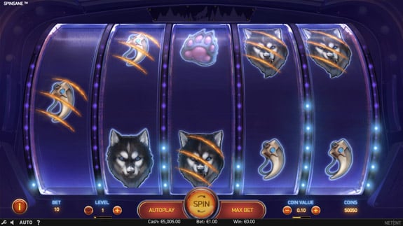 How to play Spinsane Slot